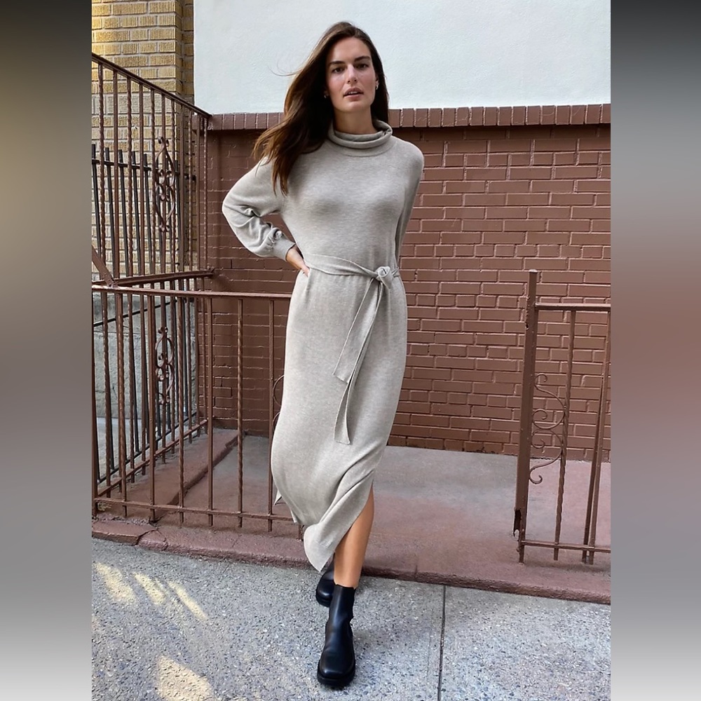 ARITZIA ONO DRESS- The Group By Babaton Oatmeal turtleneck sweater dress